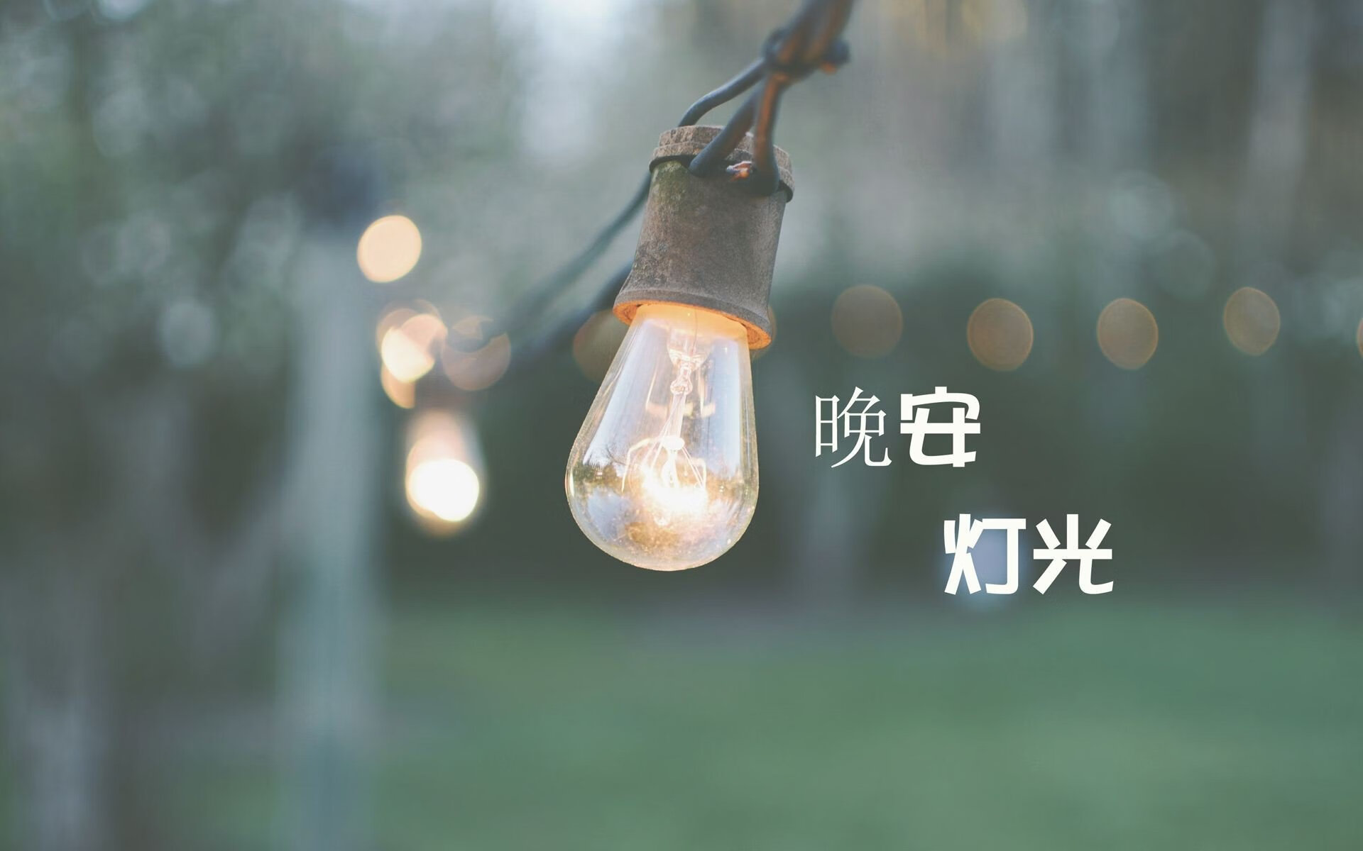 AYX体育-全国青少年“绿色生活”体育行动在杭州落地，多项绿色运动普及