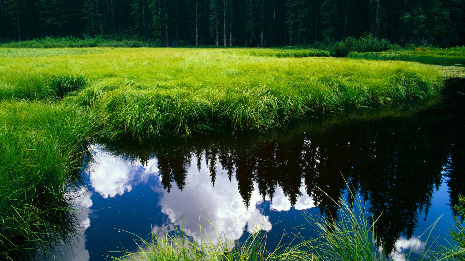 最佳中场:本赛季表现突出的核心球员盘点,【足球】最佳中场