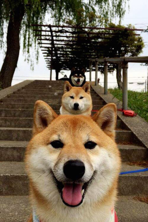 爱游戏娱乐网址-五大联赛是否重视替补门将与主力节奏同步训练，五大联赛最佳门将