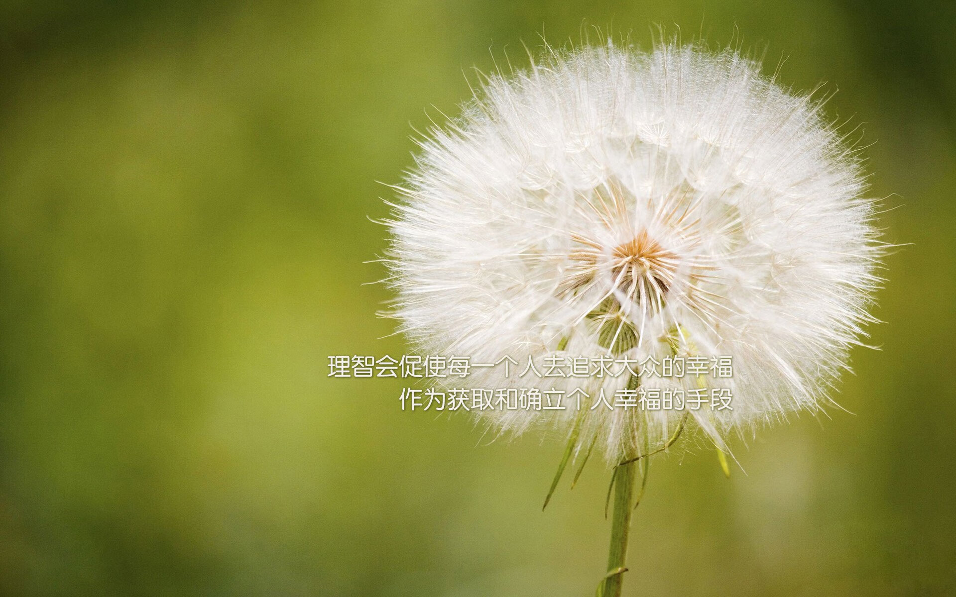 AYX体育-基层足球场地建设滞后制约发展，足球场地建设方案