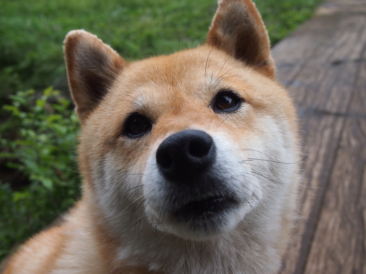 爱游戏官方-滑板公园城市联赛成都站圆满收官，2021滑板节成都在哪里