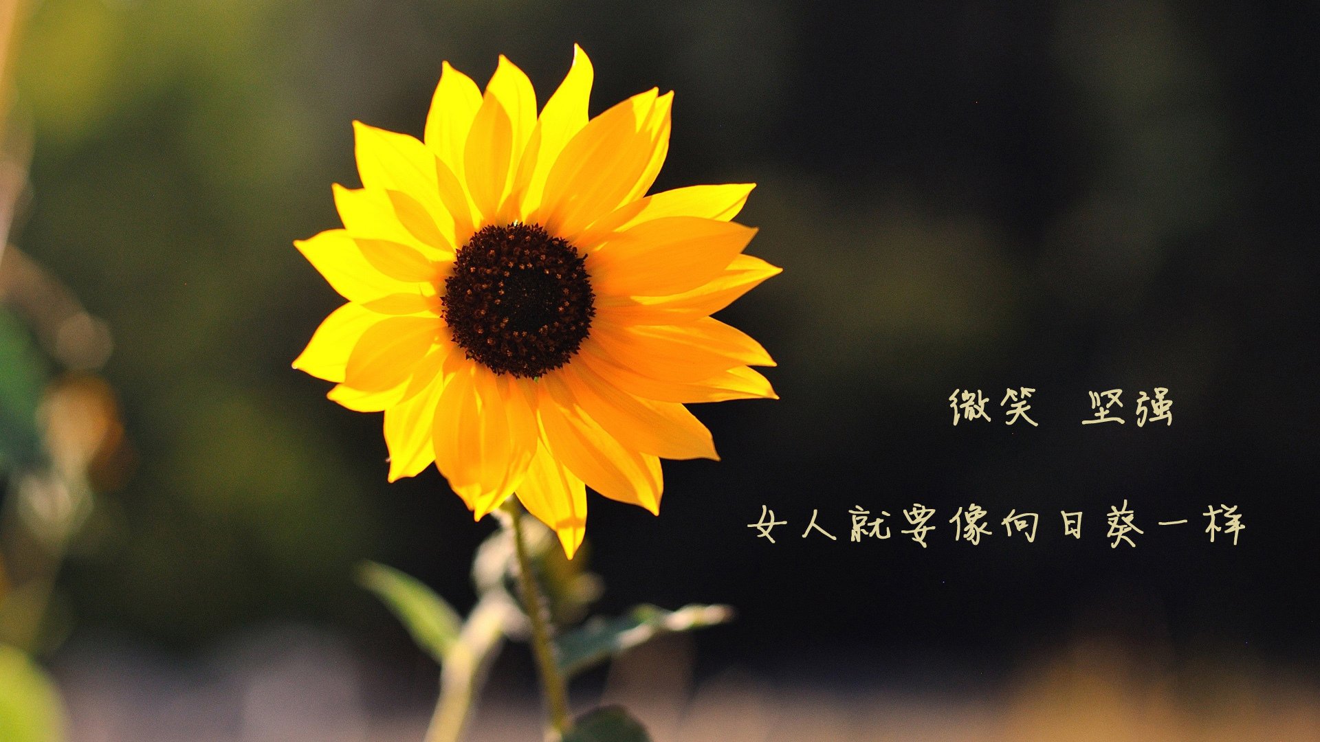 爱游戏电竞官网-2026世界杯赛场打造高科技智能座椅，提升观众体验，世界杯威力智能站