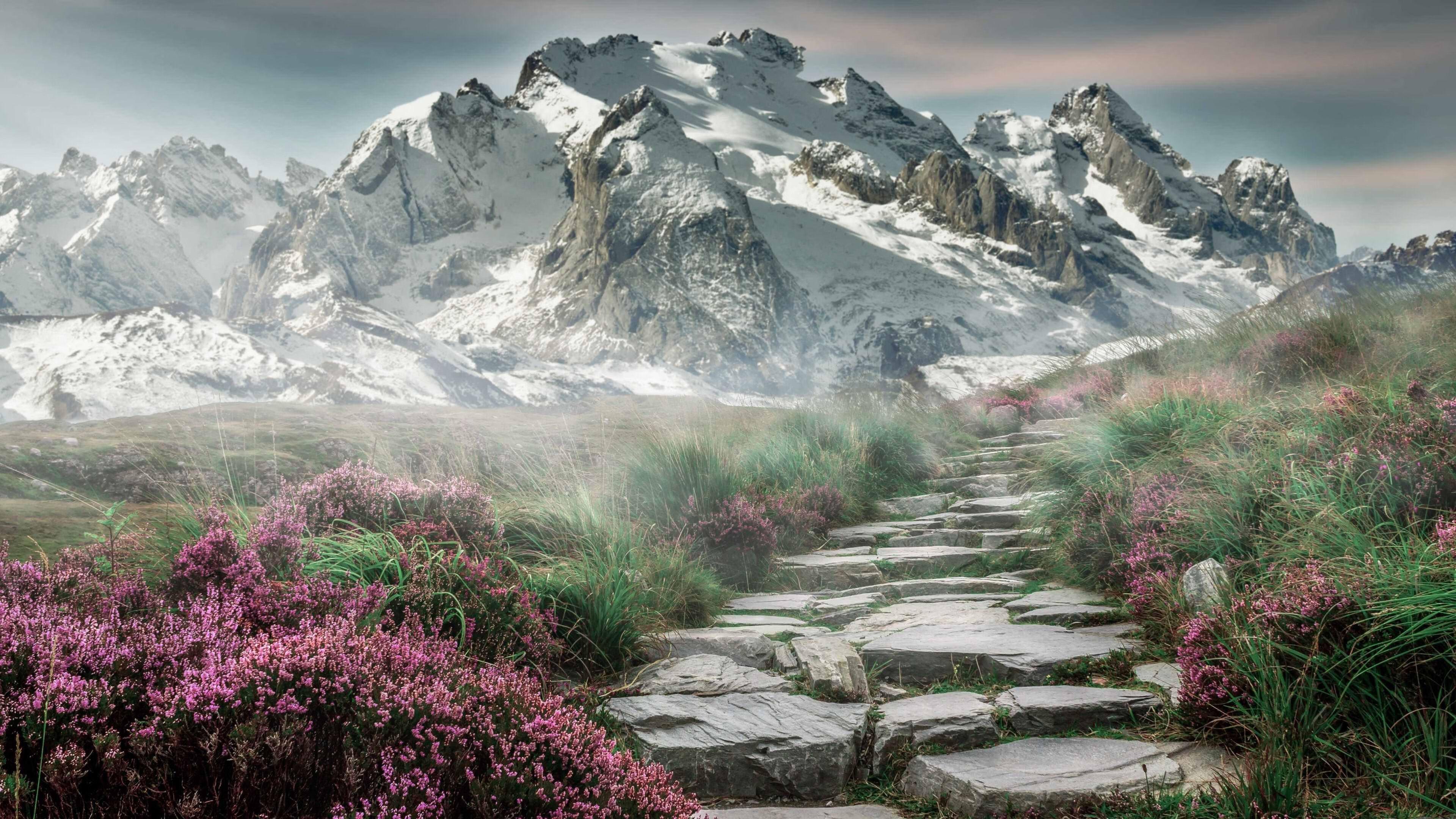 爱游戏下载-凯尔特人训练营最后一日进行投篮比拼，凯尔特人训练场