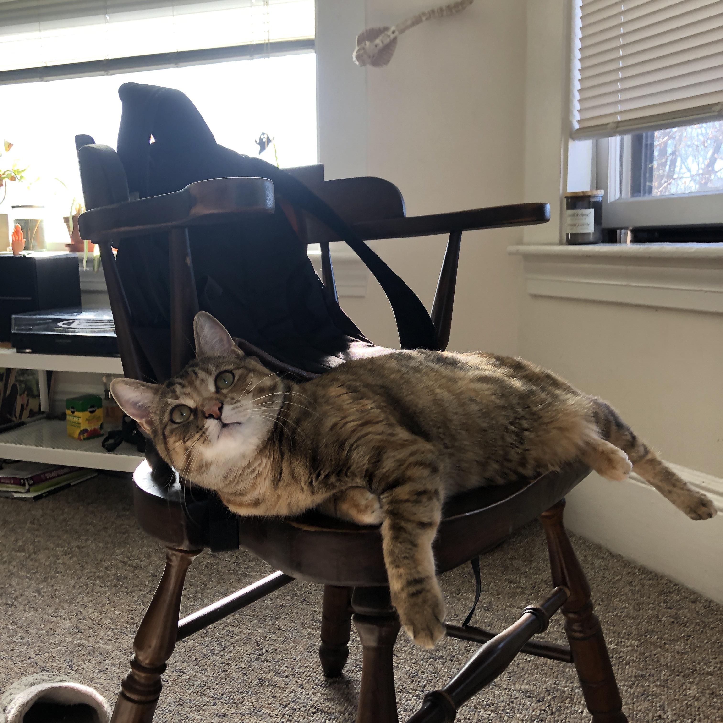 独行侠进攻端多点开花轻取对手，独行侠队控卫