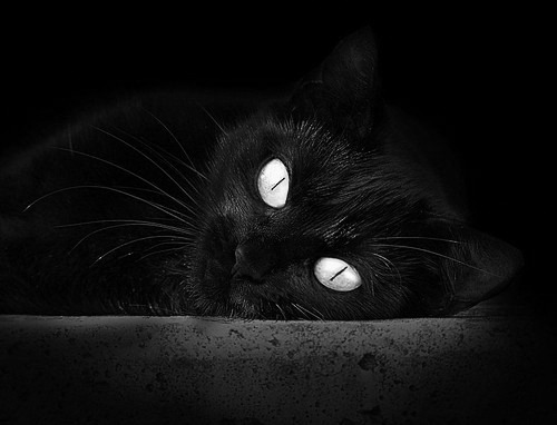 爱游戏体育APP下载-青少年篮球训练课中加入反应训练提升场上决策速度，青少年篮球训练现状及对策