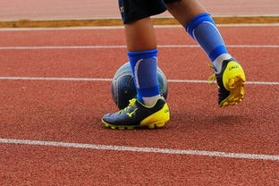 爱游戏中国-NBA球员训练营最新发展动态，nba球员日常训练项目