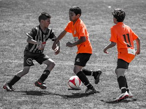 aiyouxi-NBA球员训练营活动，nba球员训练营活动安排