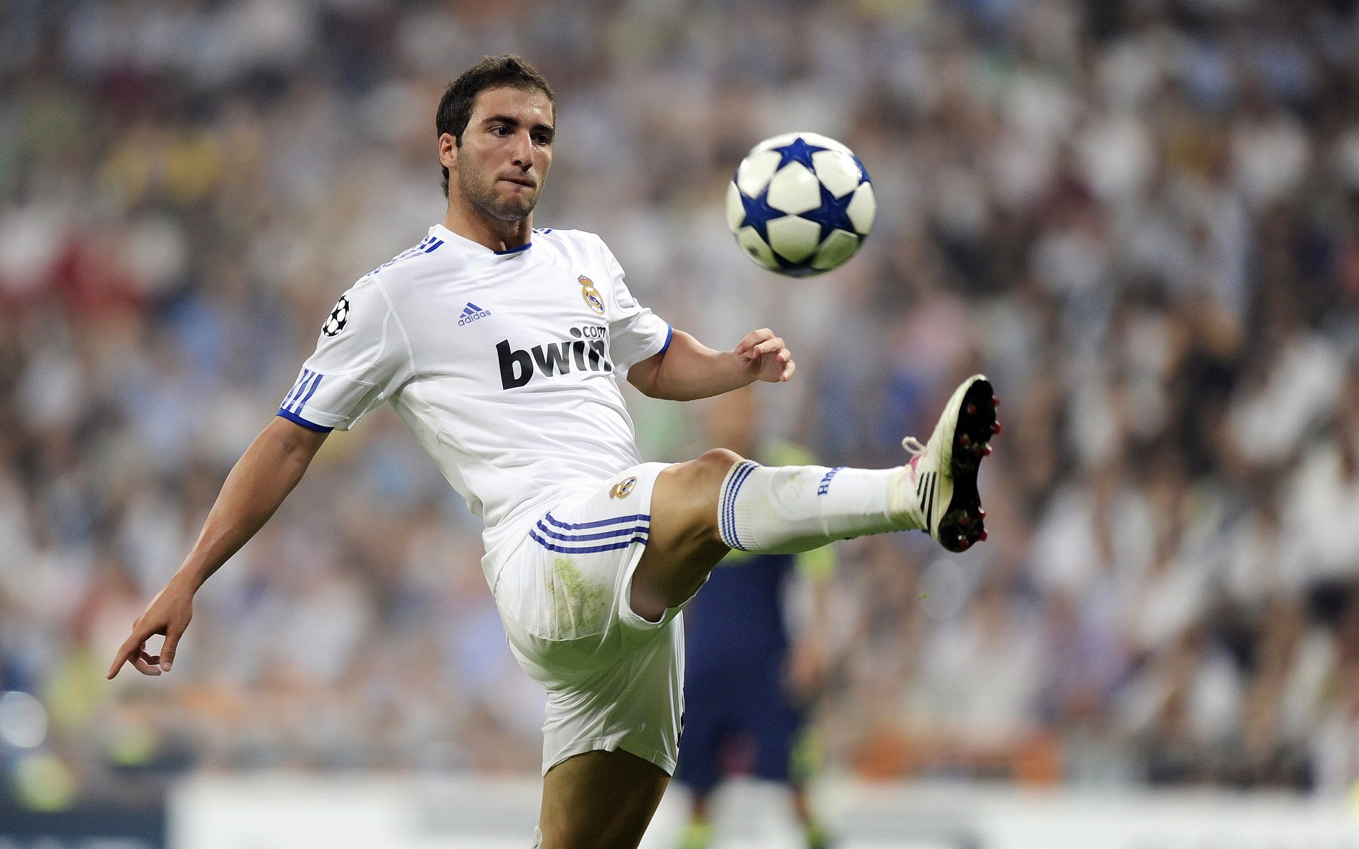 体育新闻中心联合科研机构发布体育数字传播白皮书，体育数字化建设